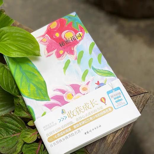 秘密花园 儿童版推荐经典书目故事书阅读小学生阅读课外书籍经典名著 商品图1