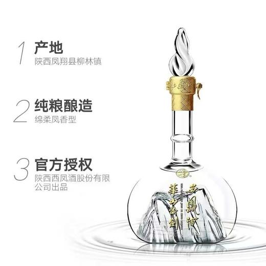 西凤华山论剑20年500ml 商品图2