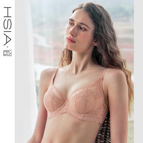 HSIA遐大胸显小内衣女轻薄款全罩杯上托胸罩波米几何性感蕾丝文胸