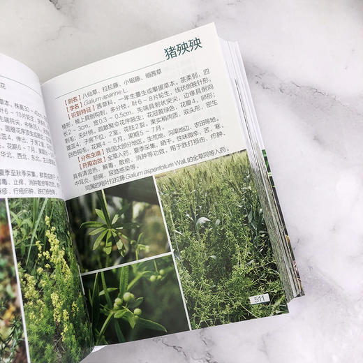 800种中草药图鉴 商品图6