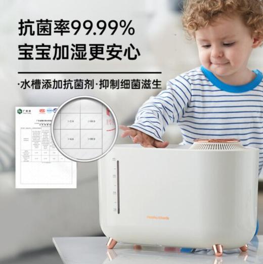 摩飞无雾加湿器MR2081 商品图2