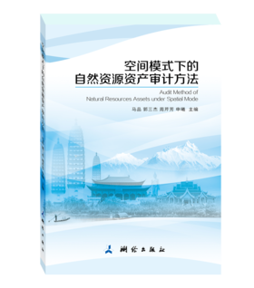 空间模式下的自然资源资产审计方法