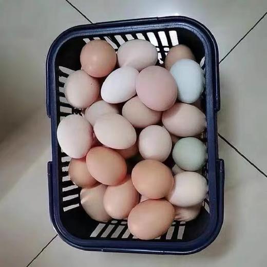 土鸡蛋（个） 商品图1