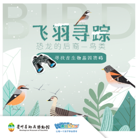 【贵地博户外科普】｜飞羽寻踪--观鸟课堂