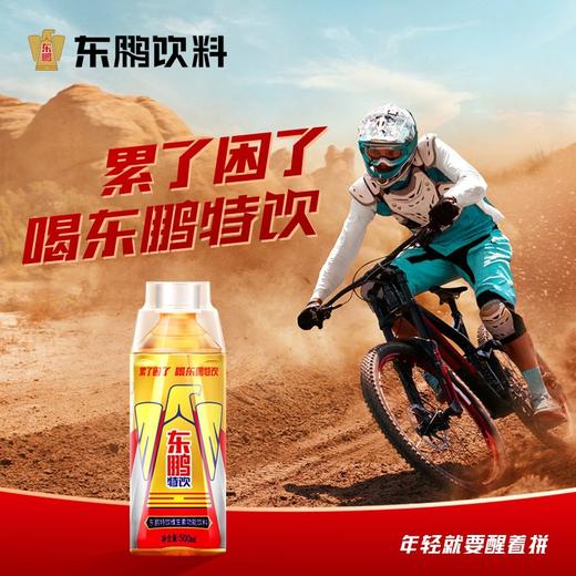 东鹏特饮维生素功能饮料  500ml/瓶 商品图2