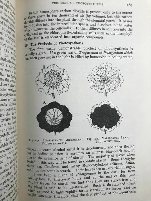 植物学教材 410幅插图 精装大32开 商品图14