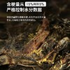 白沙溪茯砖 传承1公斤 商品缩略图1