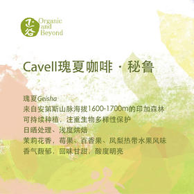  一杯可持续咖啡连接女性平权与可持续未来 