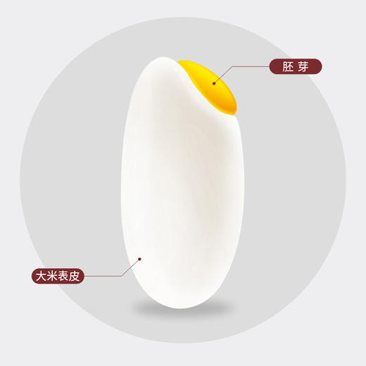 杞冠臻选 | 米珍 谷焙香 米胚膳食纤维粉  1kg/袋 商品图2