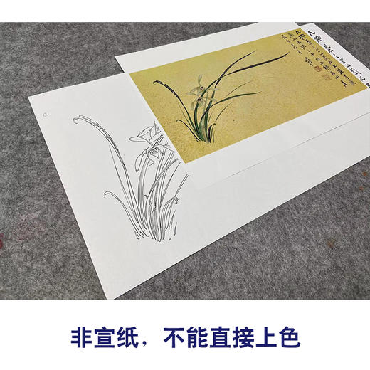 张大千横幅工笔花鸟白描底稿《兰花》临摹勾线高清打印稿QD25 商品图2