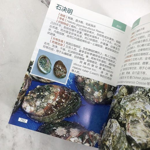 800种中草药图鉴 商品图9