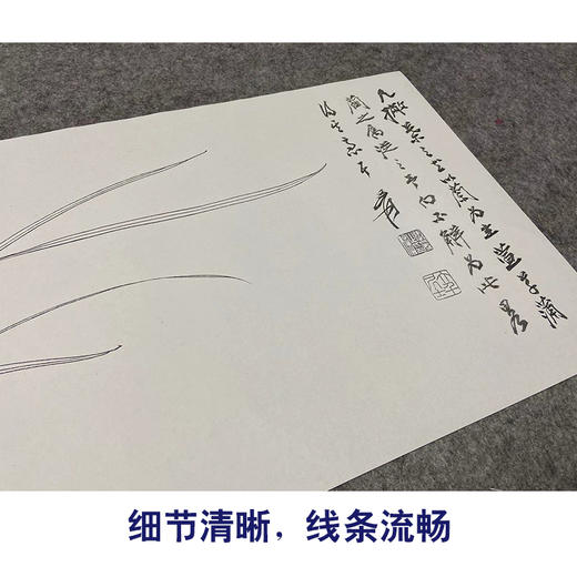 张大千横幅工笔花鸟白描底稿《兰花》临摹勾线高清打印稿QD25 商品图4