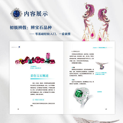 《彩色宝石辨假》 商品图4