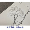 张大千竖幅工笔花鸟白描底稿《红叶青禽》临摹勾线高清打印稿QD29 商品缩略图4