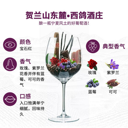 西鸽N28马尔贝克干红葡萄酒  整箱750ml*6 商品图1