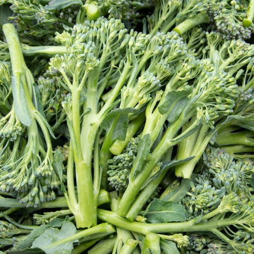 西兰苔 商品图2