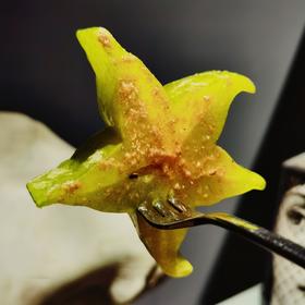 [屁侠推荐]脆嫩多汁 酸甜美味星星果 树上熟蜜丝杨桃