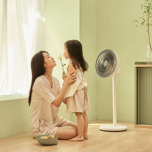 科西有叶风扇F3/F4 商品图2