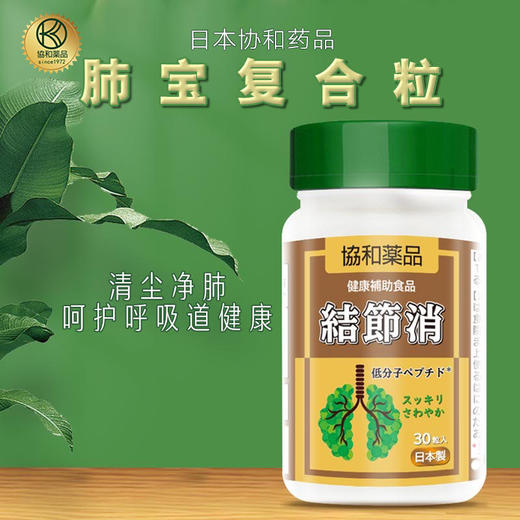 【日本协和药品出品“肺部清道夫”】日本协和素甄坊肺宝清咽利肺肺部不适天然植物精粹 商品图0