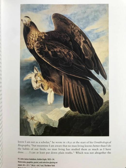 美国艺术史诗 365幅插图 精装16开 商品图8