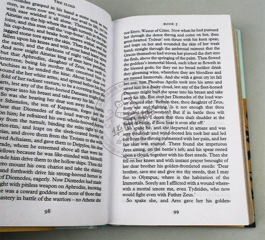 荷马史诗之伊利亚特 英文原版 The Iliad Collectors Library系列 英文版进口原版英语文学书籍 商品图2