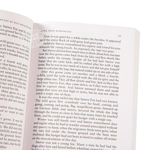 预售 【中商原版】尼尔斯骑鹅旅行记 英文原版 PBC The Wonderful Adventure of Nils Holgersson Selma Lagerlof 商品图3