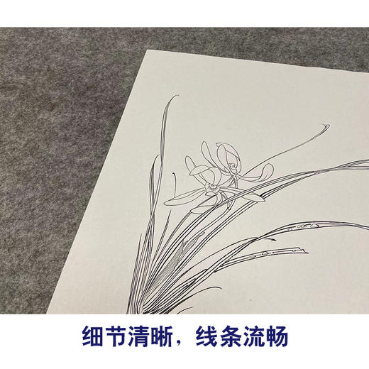 【大彩图】张大千工笔画白描底稿小品《斗方小品册页》兰花临摹勾线花鸟线稿QD24 商品图4