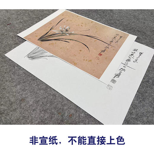 【大彩图】张大千工笔画白描底稿小品《斗方小品册页》兰花临摹勾线花鸟线稿QD24 商品图2