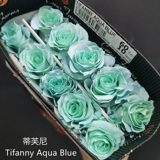 厄瓜多尔染色Tifanny Aqua Blue蒂芙尼蓝玫瑰花10支 商品图2