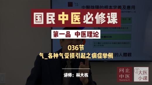 036精气血津液-气-各种气受损引起之病症案例 商品图0