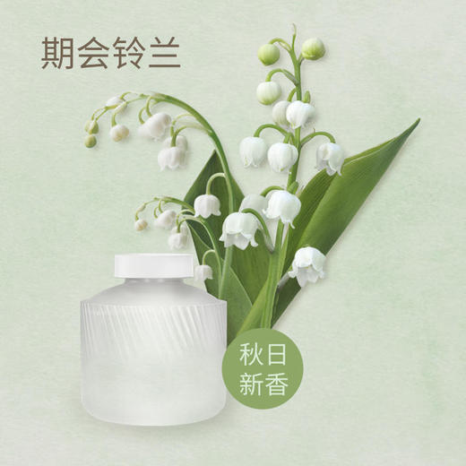 几光香薰补充液 商品图3