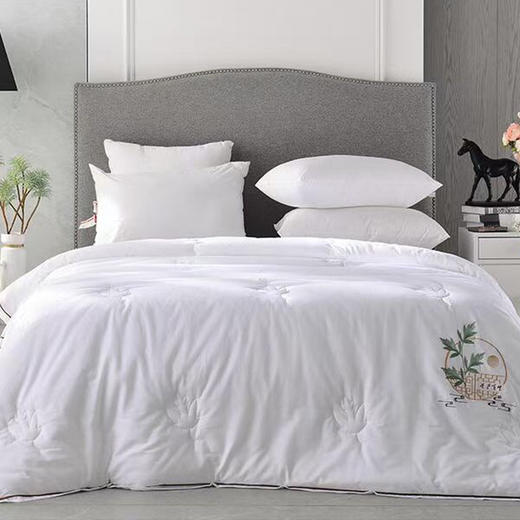 【多喜爱】第二代艾贵人养生春秋被 商品图0