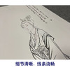 【大彩图】张大千工笔传统仕女人物白描底稿临摹勾线高清打印稿QD59 商品缩略图4