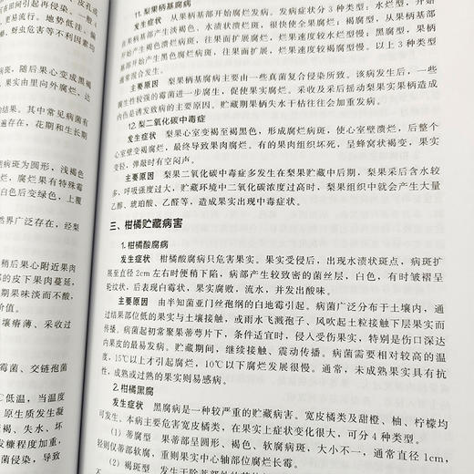 蔬菜水果感官性状与检验方法 商品图4