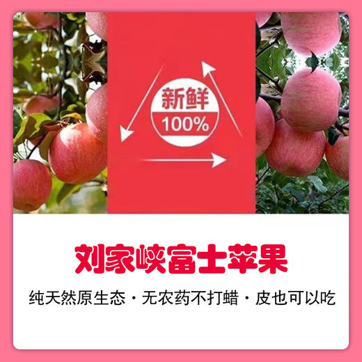 【长房物业×喵山果】刘家峡富士苹果（9斤） 商品图0
