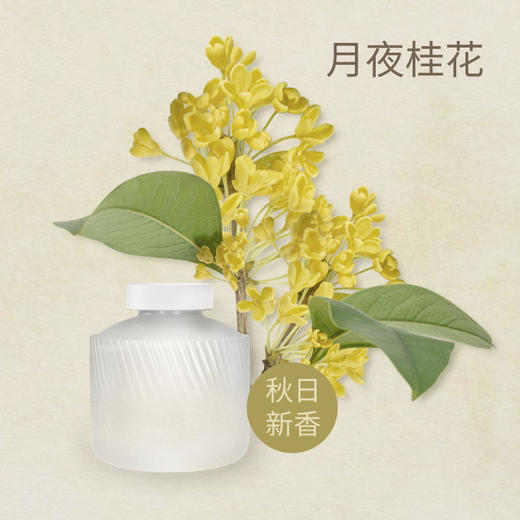 几光香薰补充液 商品图2