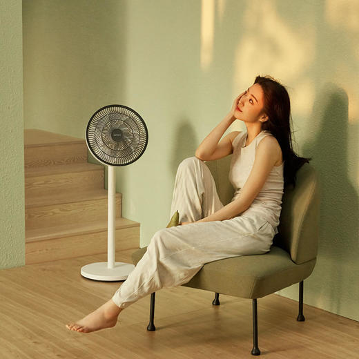 科西有叶风扇F3/F4 商品图1