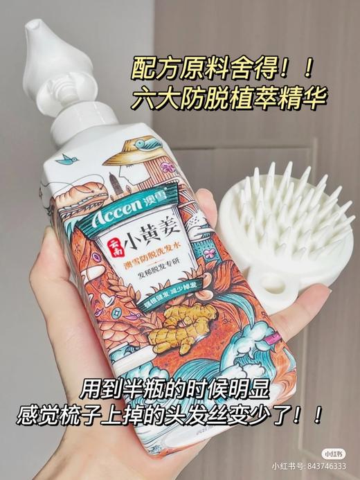 【65元会员福利】澳雪小黄姜洗发水750ml

 商品图4