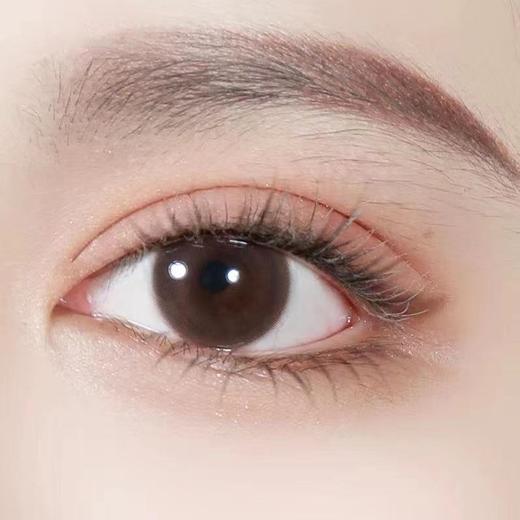 Medios日抛 ·流浪咖啡｜日抛｜整体14.2mm 白狮参考着色13.4mm 中等直径 商品图3