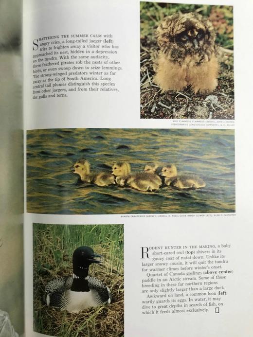 1972年上半年合订本 国家地理杂志 约千幅彩色插图 精装16开 商品图4