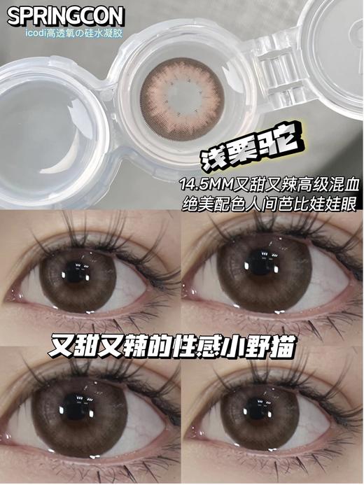 springcon平价品牌-浅栗驼  商品图5