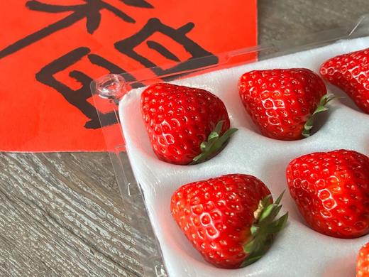 预售｜溪青农场 完熟草莓，预计4月29日左右发货，限北京！ 商品图0