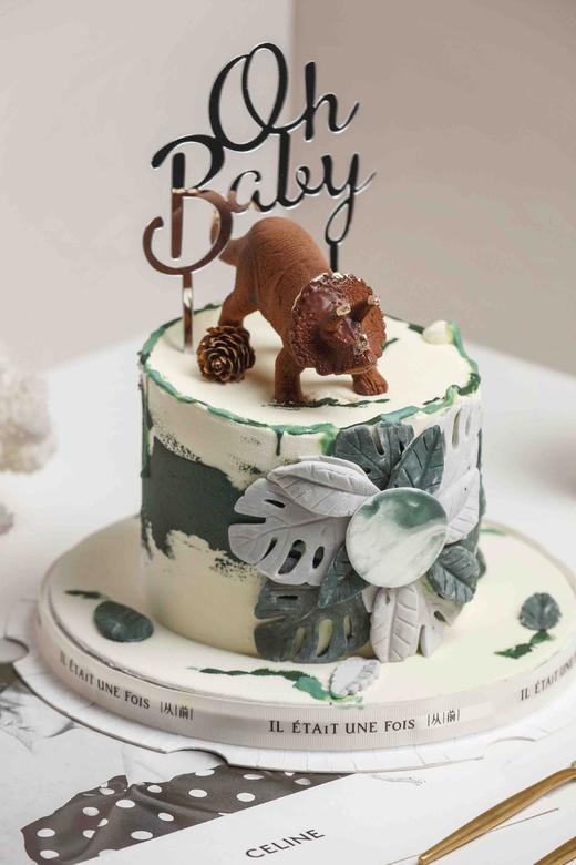 丛林三角龙 商品图1