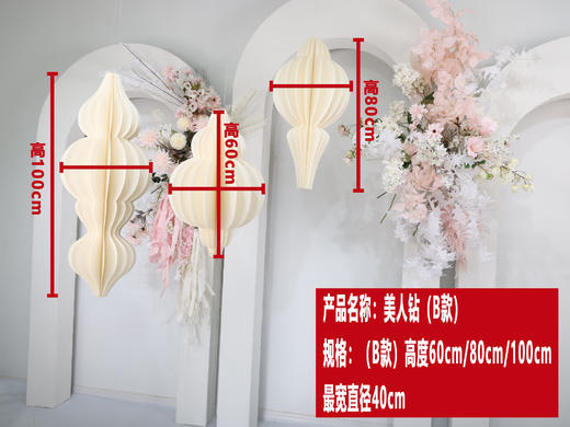 美人钻（运费自理） 商品图1