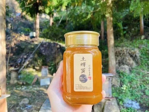 【蜂蜜】深山土蜂蜜500g/罐 商品图2