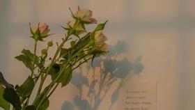 如何用个人品牌思维经营当下花房