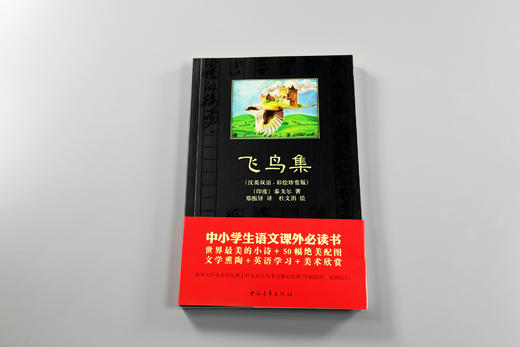 飞鸟集泰戈尔著郑振铎译 汉英双语彩绘珍赏版 黑皮书中国青年出版社中小学生课外阅读必读书正品直发 商品图3
