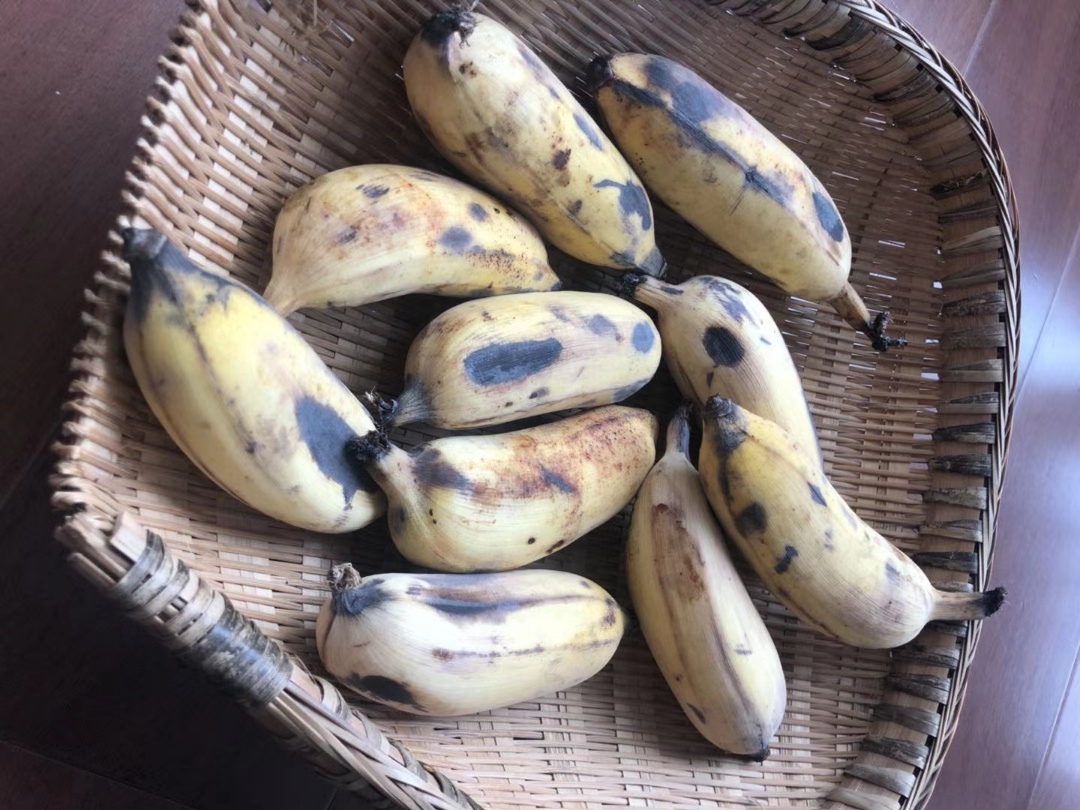 海南五指山野生芭蕉,纯自然生长,肉净皮薄,香甜好吃的芭蕉!