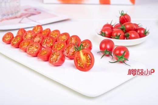 沙地千禧 小番茄4斤装 商品图1