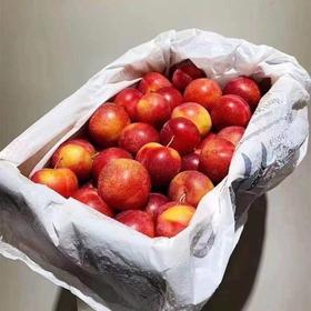 澳洲甜心李称重